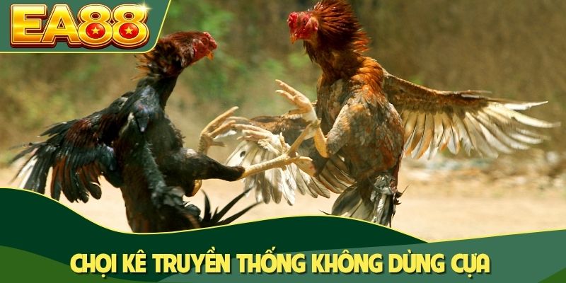 Chọi kê truyền thống không dùng cựa