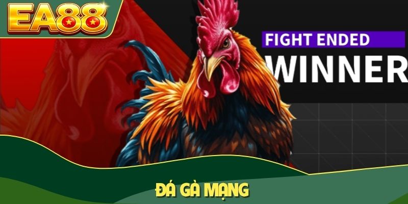 Đá gà mạng