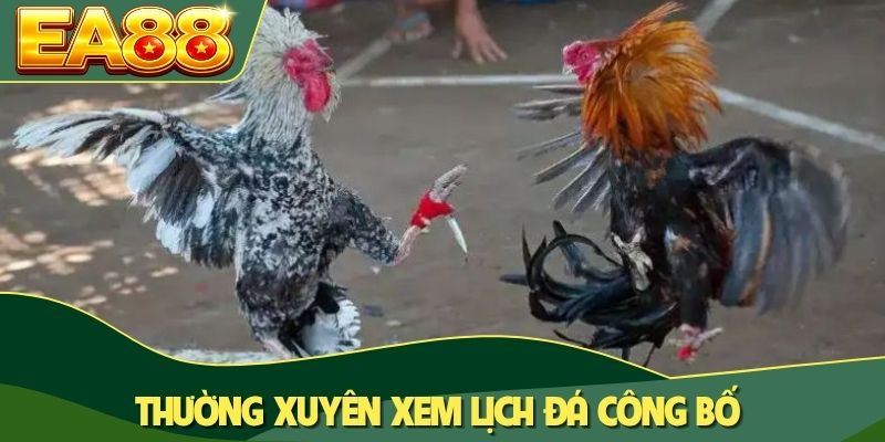 Thường xuyên xem lịch đá công bố