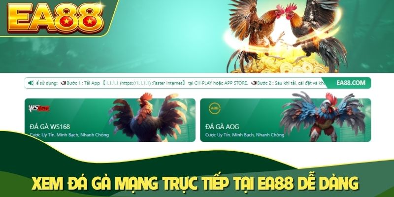 Xem đá gà mạng trực tiếp tại EA88 dễ dàng